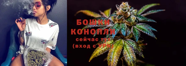 первитин Новозыбков