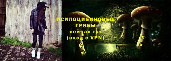 герыч Новодвинск