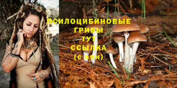 эйфоретик Армянск