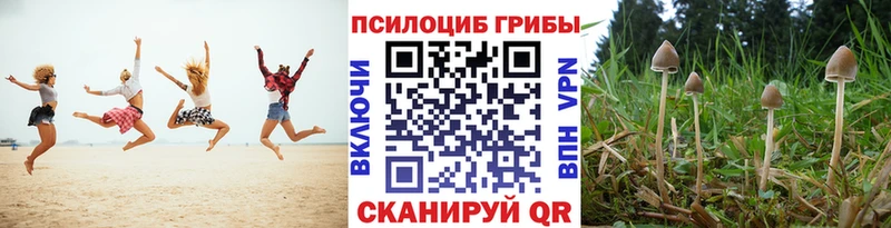 Псилоцибиновые грибы мухоморы наркошоп Минеральные Воды